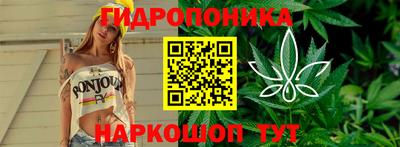 бошки Волгодонск