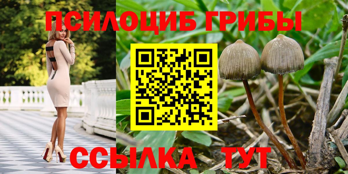 наркота  Псилоцибиновые грибы Psilocybine cubensis  Донецк  Вход с VPN  Псилоцибиновые грибы Magic Shrooms 
